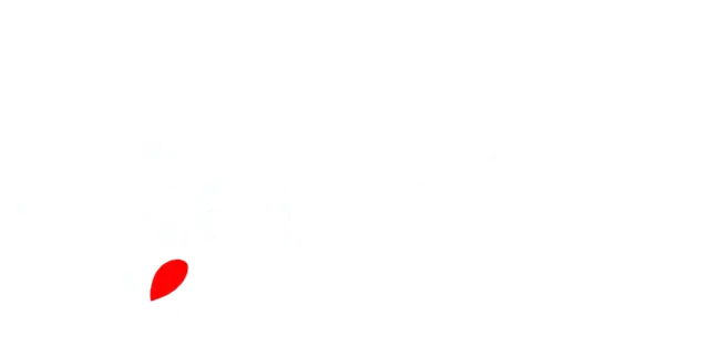 VarSage logo