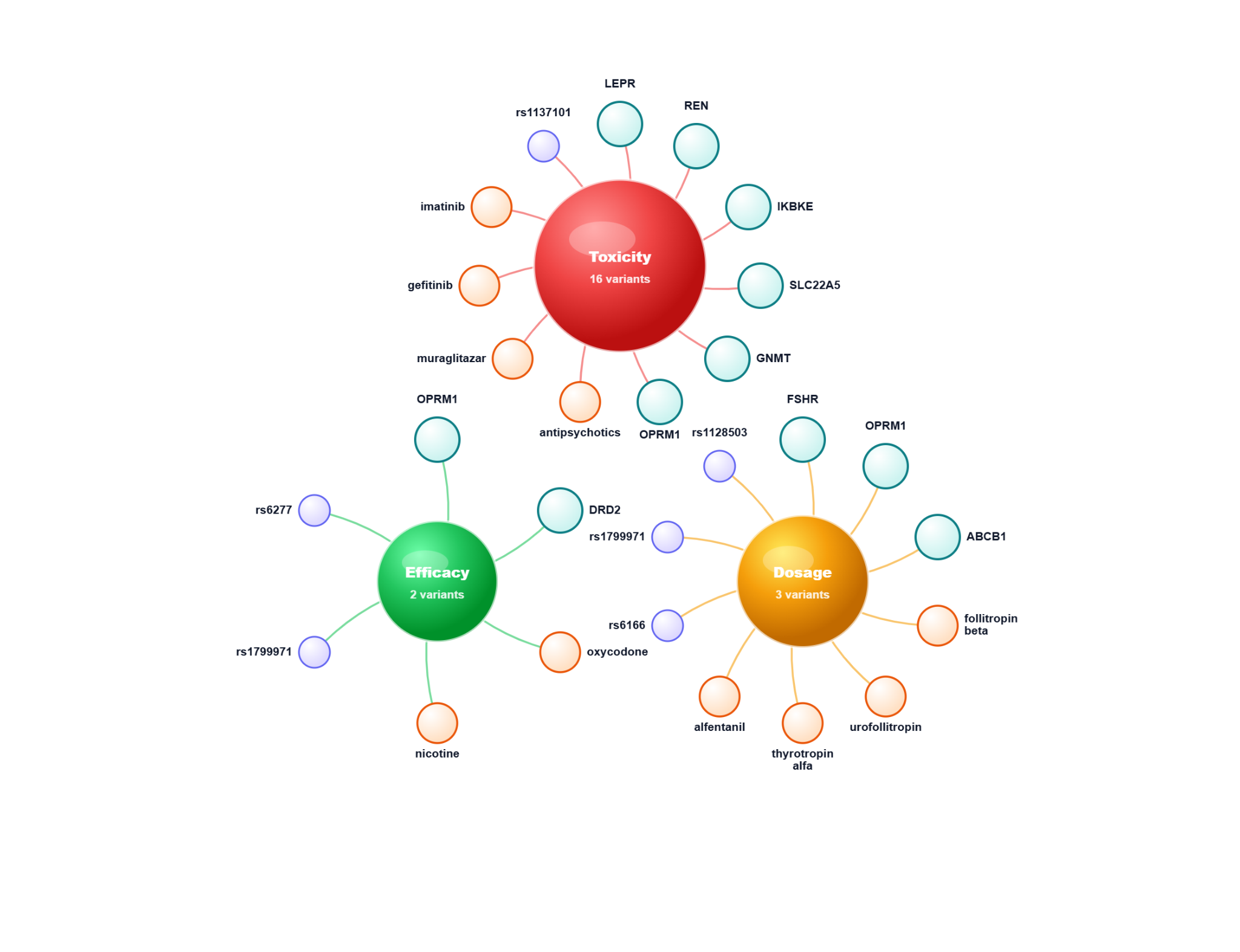 Example PGx network diagram grouping toxicity, efficacy, and dosage findings by genes, drugs, and variants