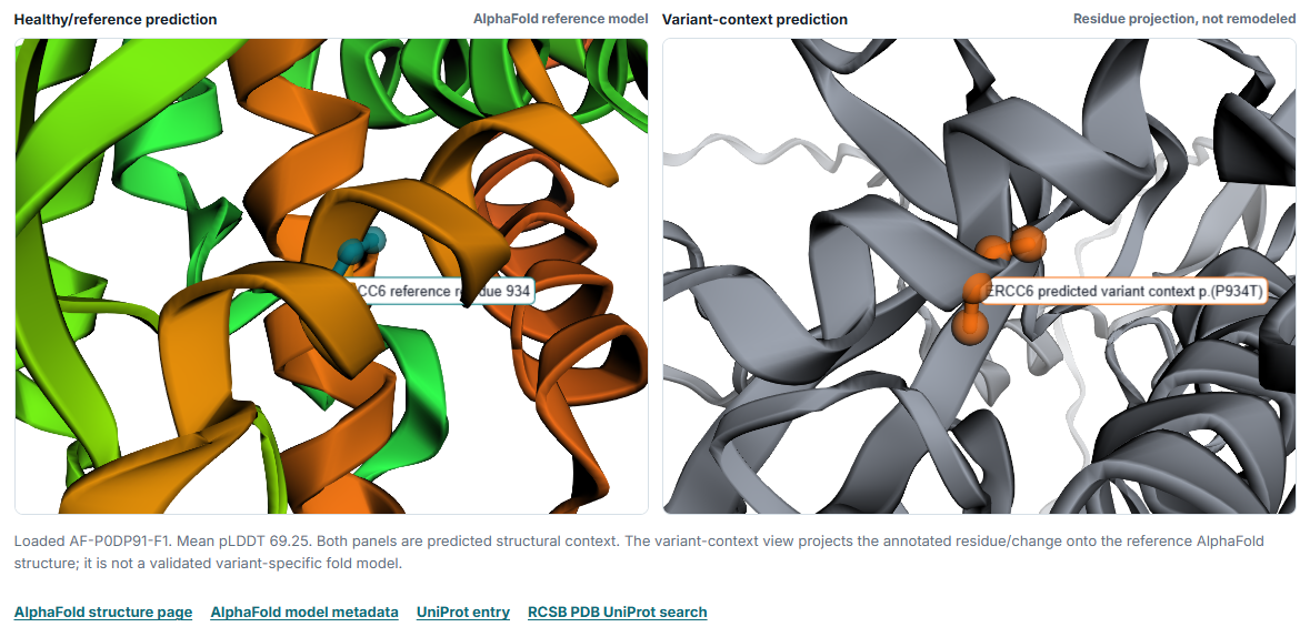 Example VarSage protein structure view with healthy reference prediction and variant-context residue projection